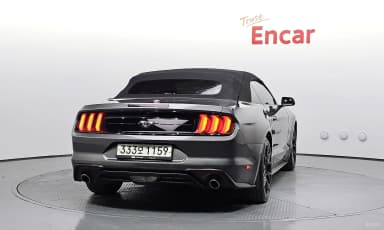 Mustang