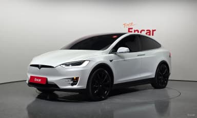 Model X