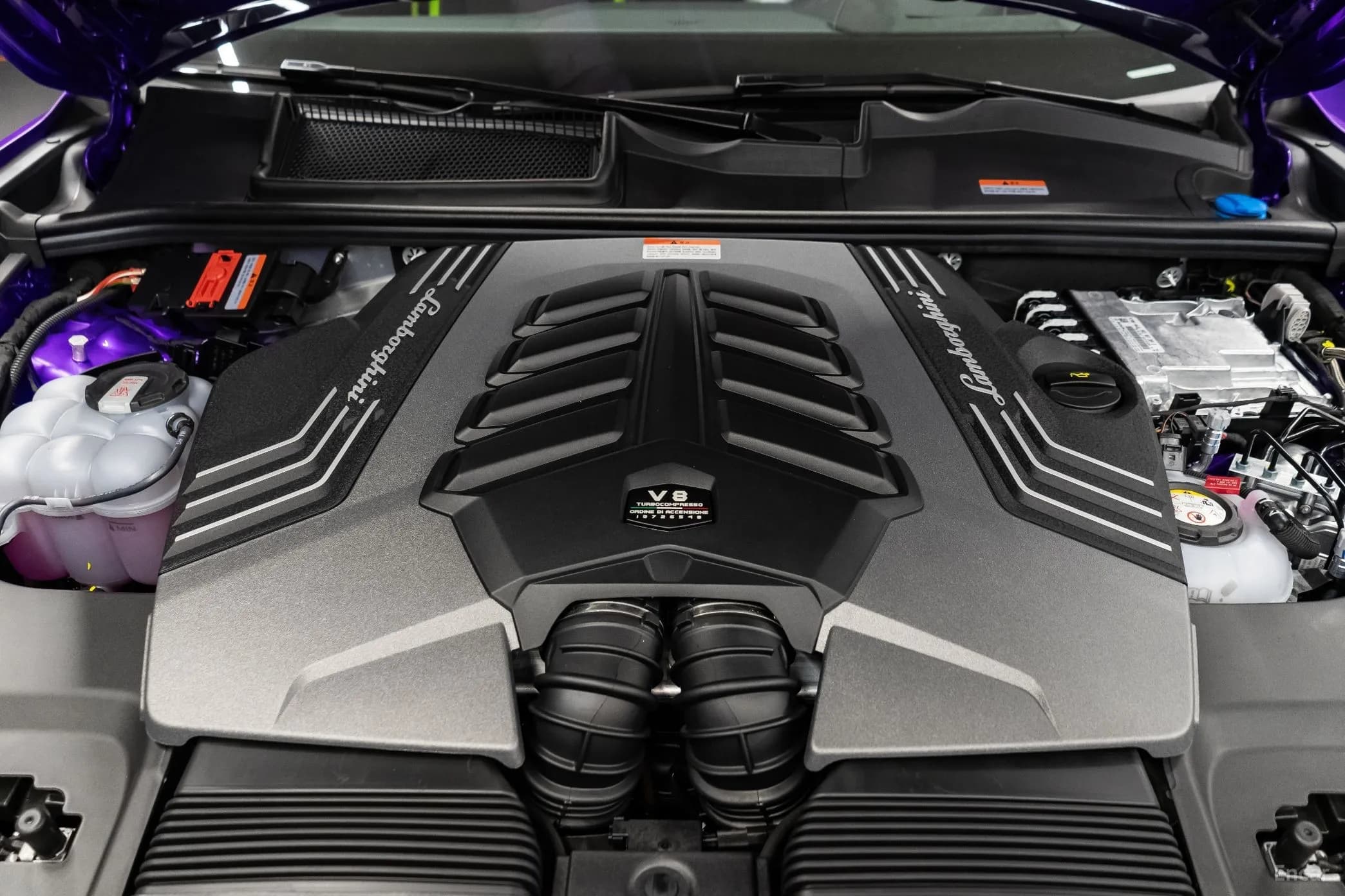 Urus