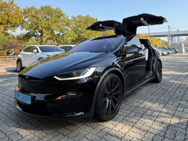 Model X