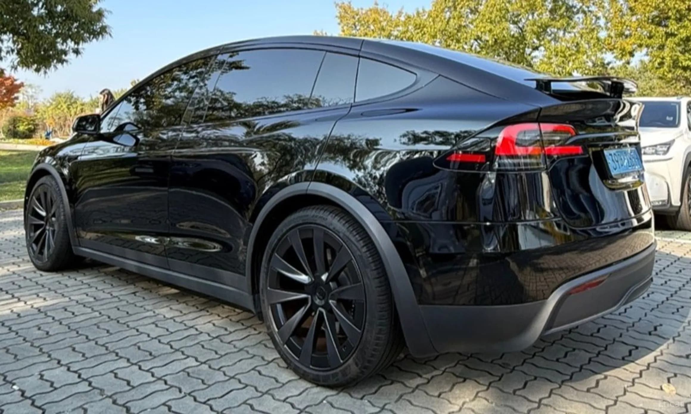 Model X