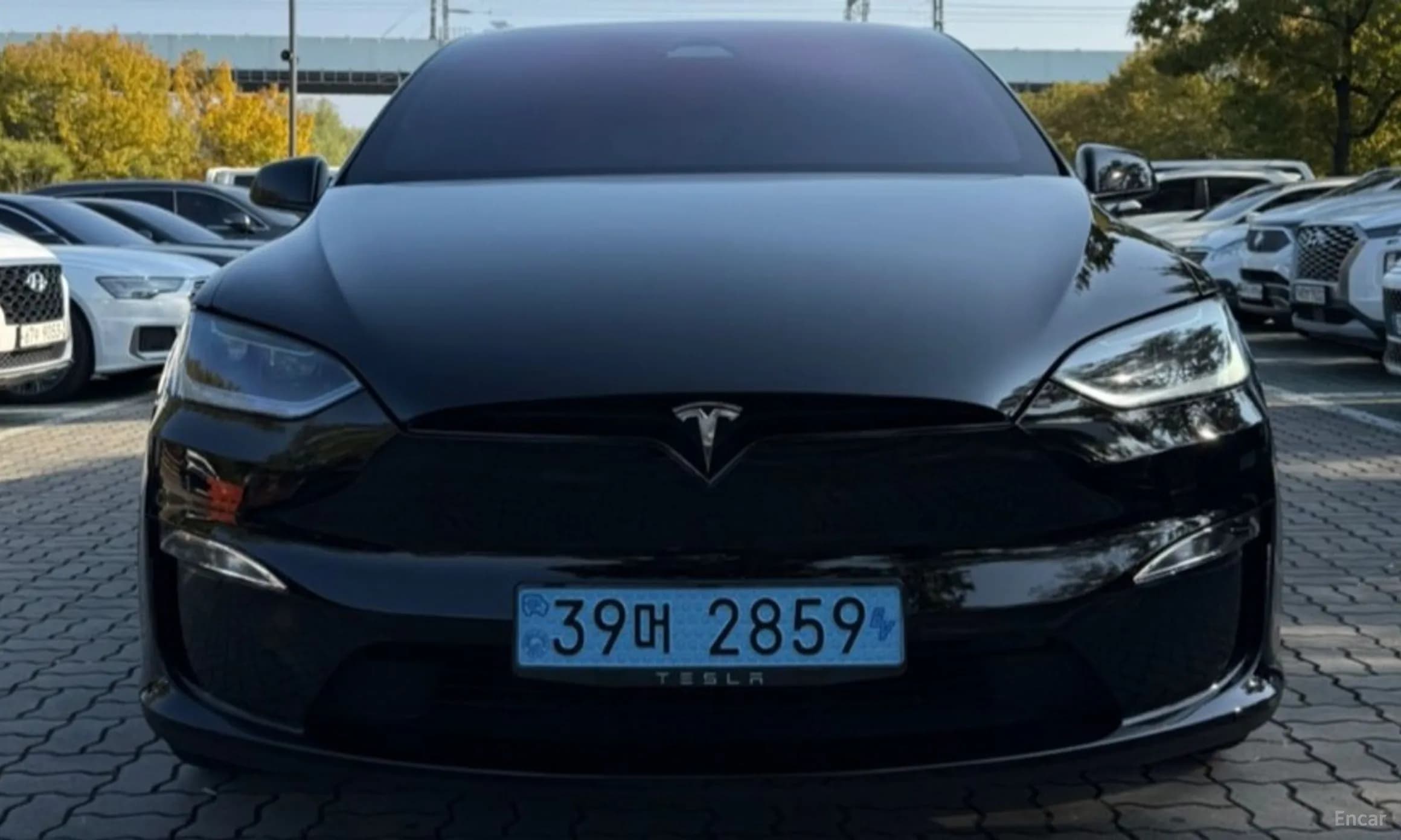 Model X