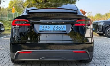 Model X