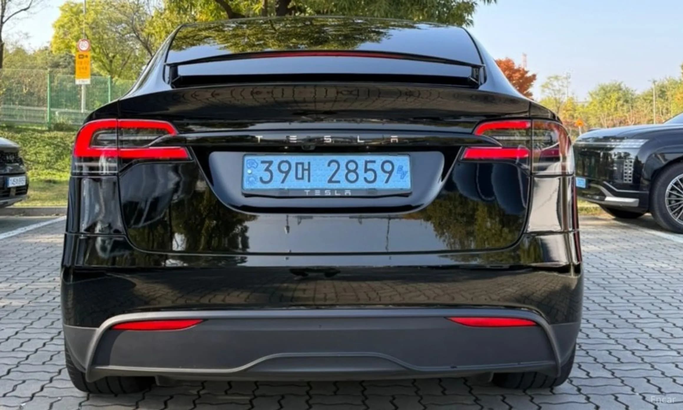 Model X