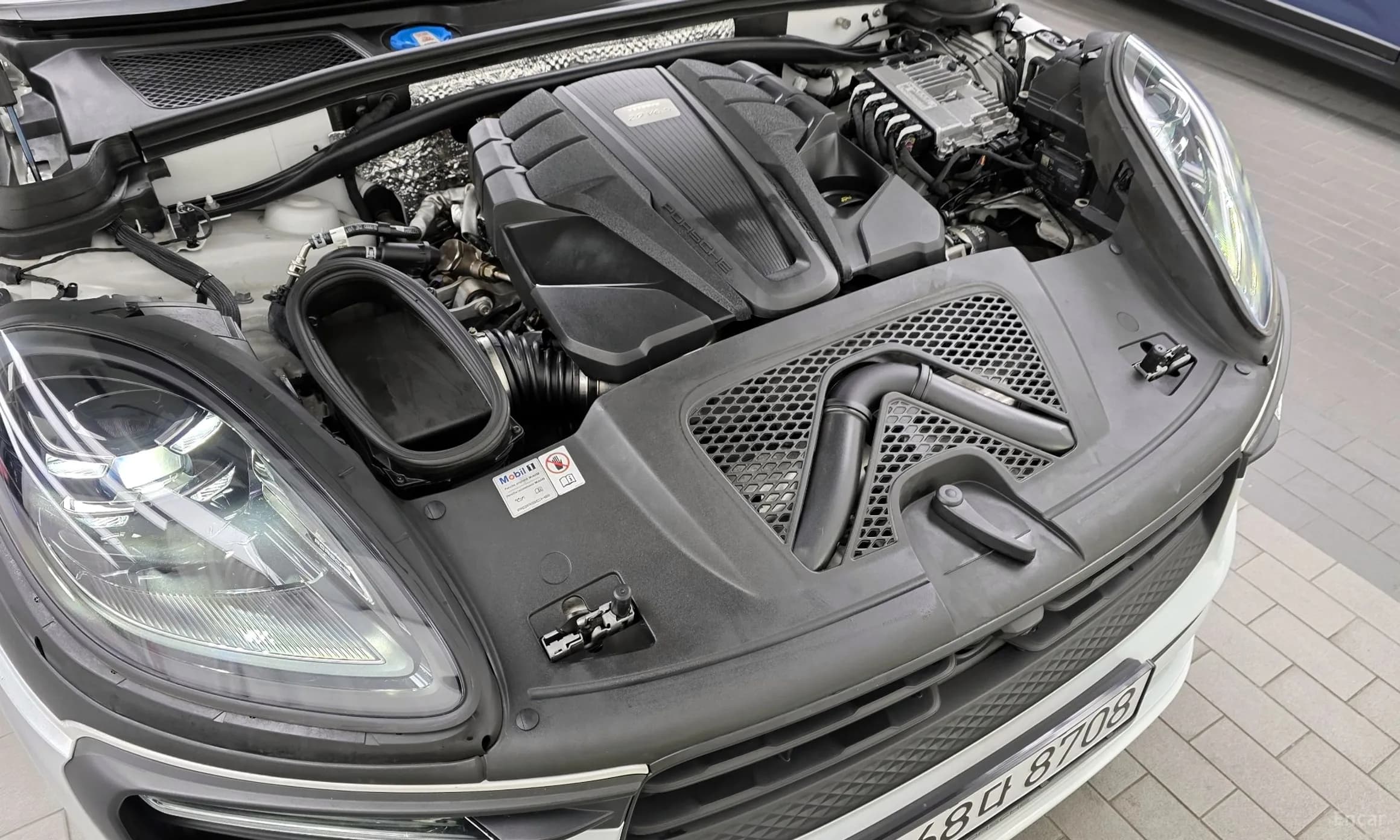 Macan