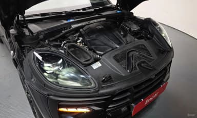 Macan