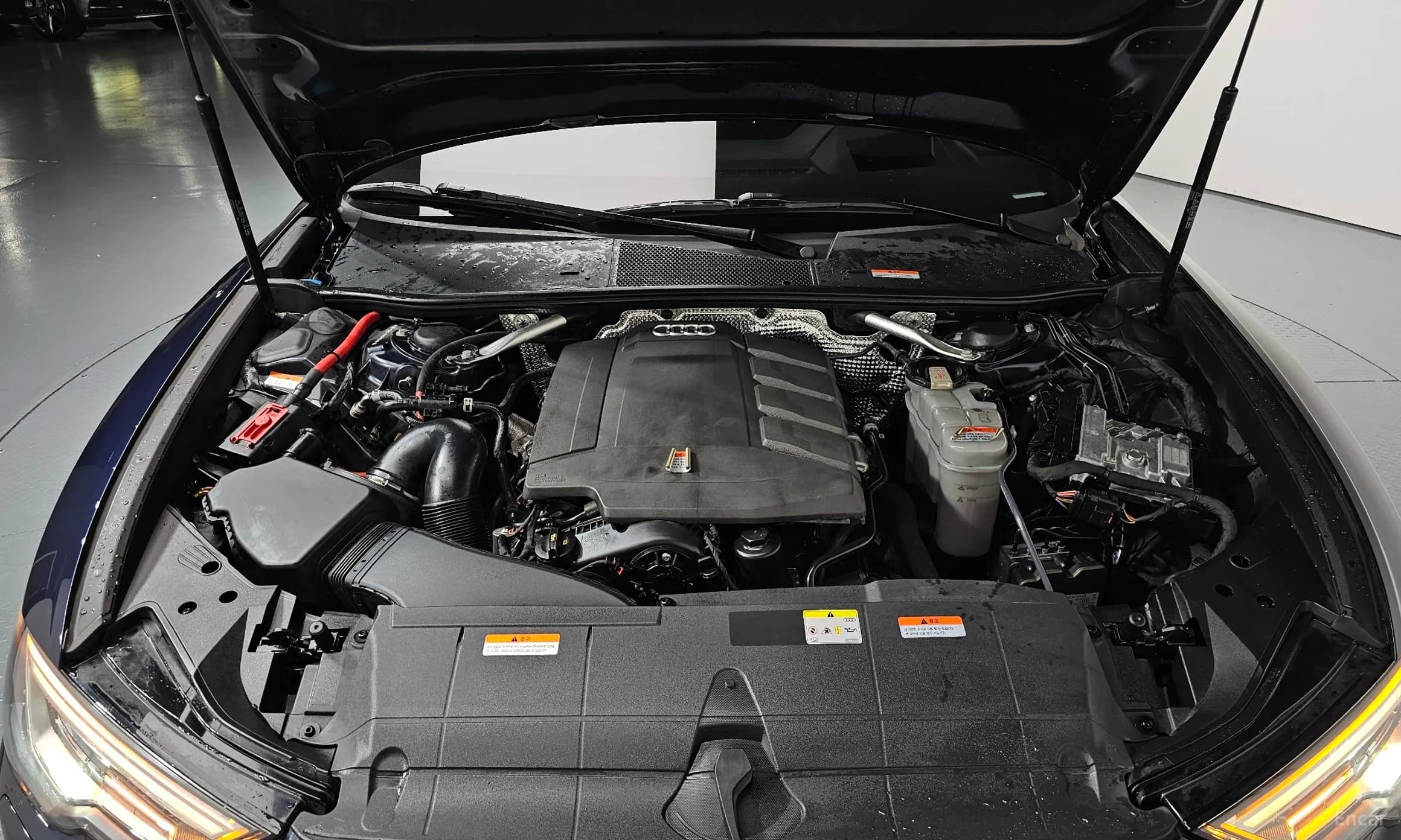 A6 (C8)