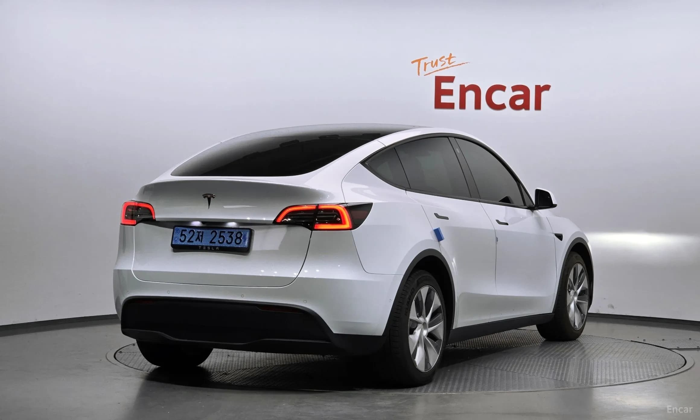 Model Y