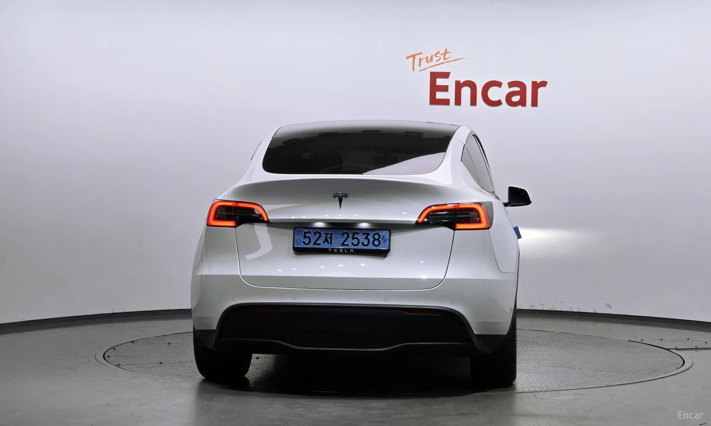 Model Y