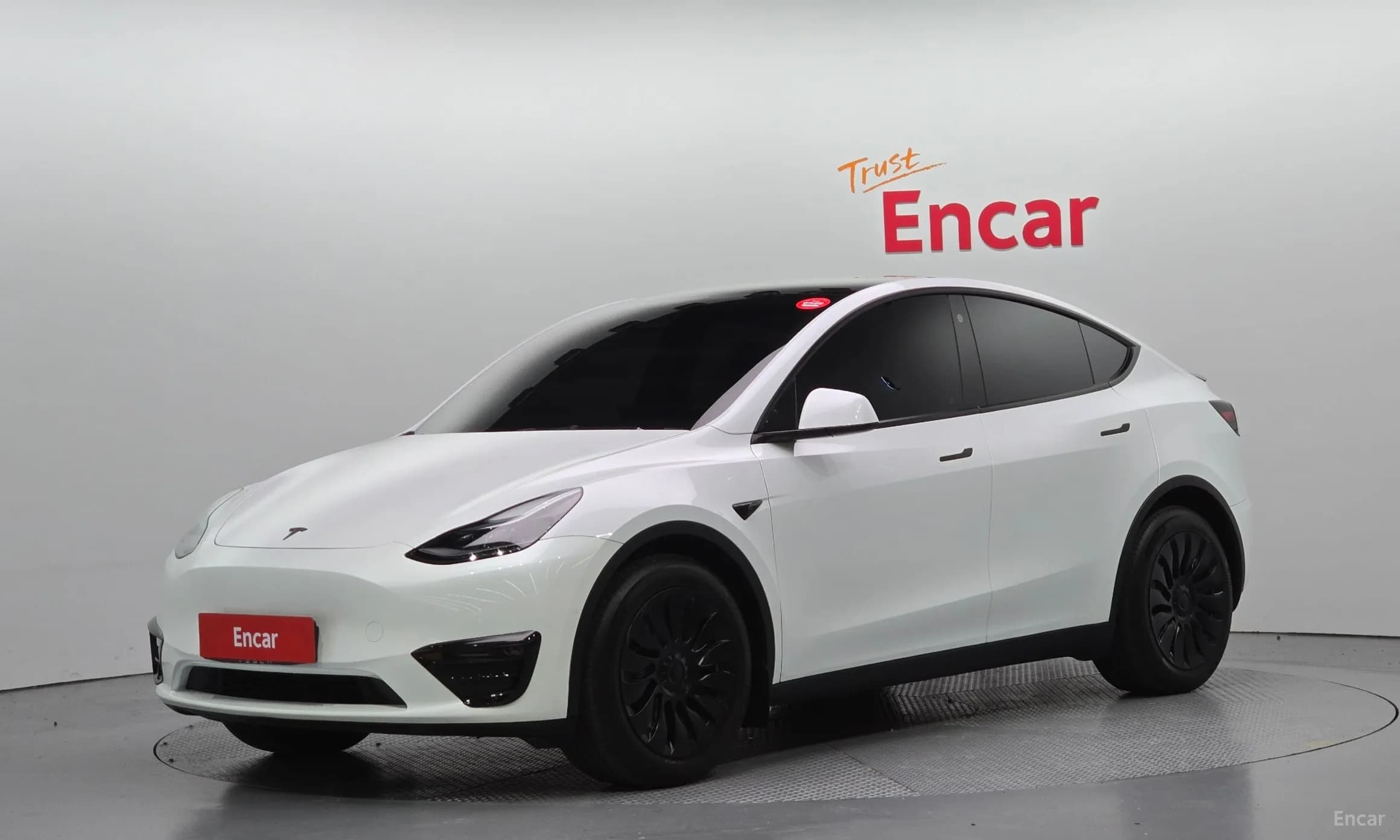 Model Y