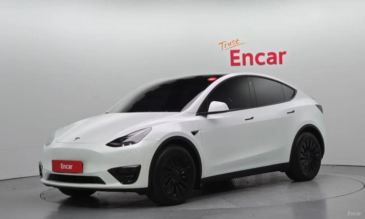 Model Y