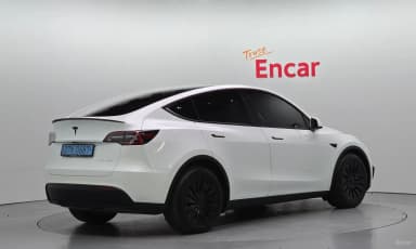 Model Y
