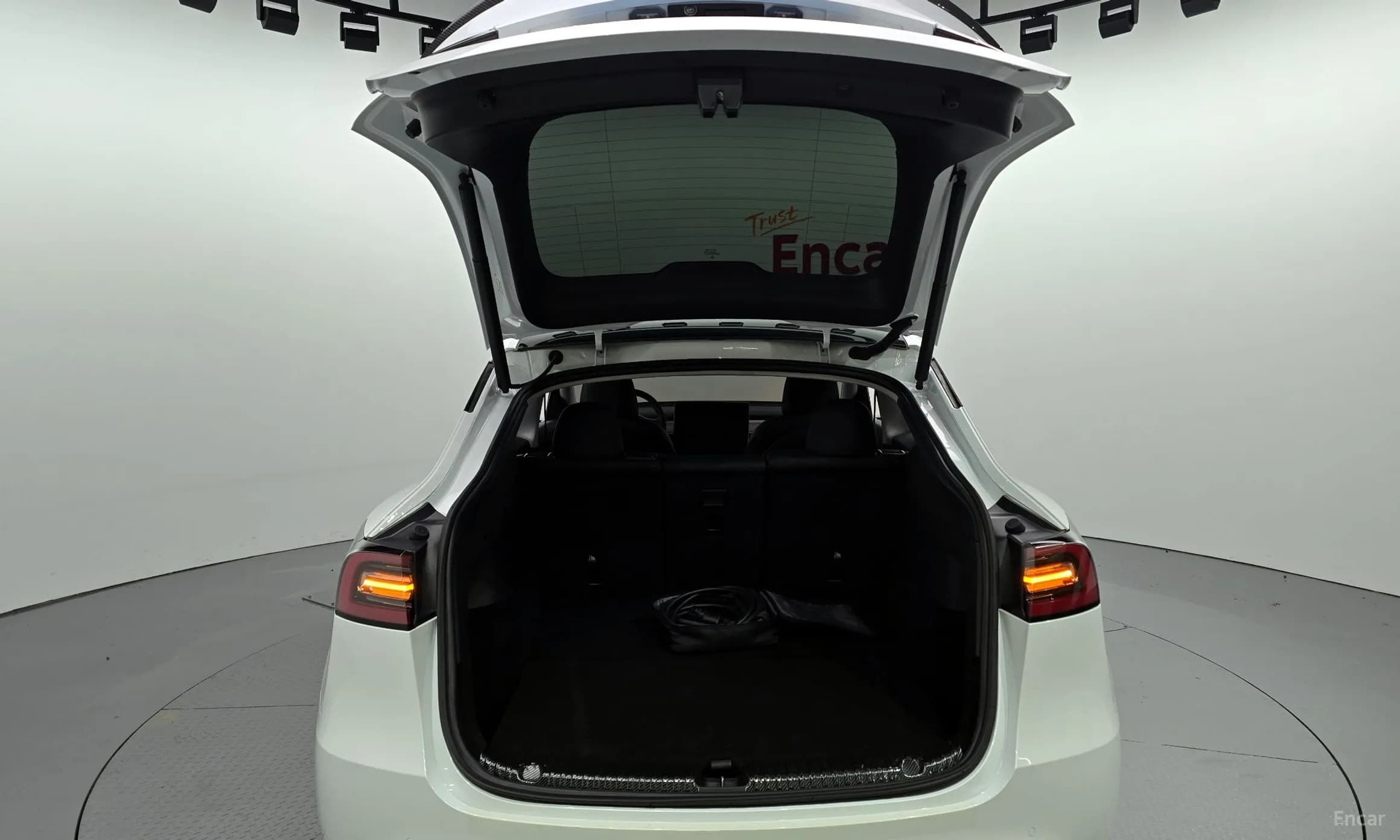 Model Y