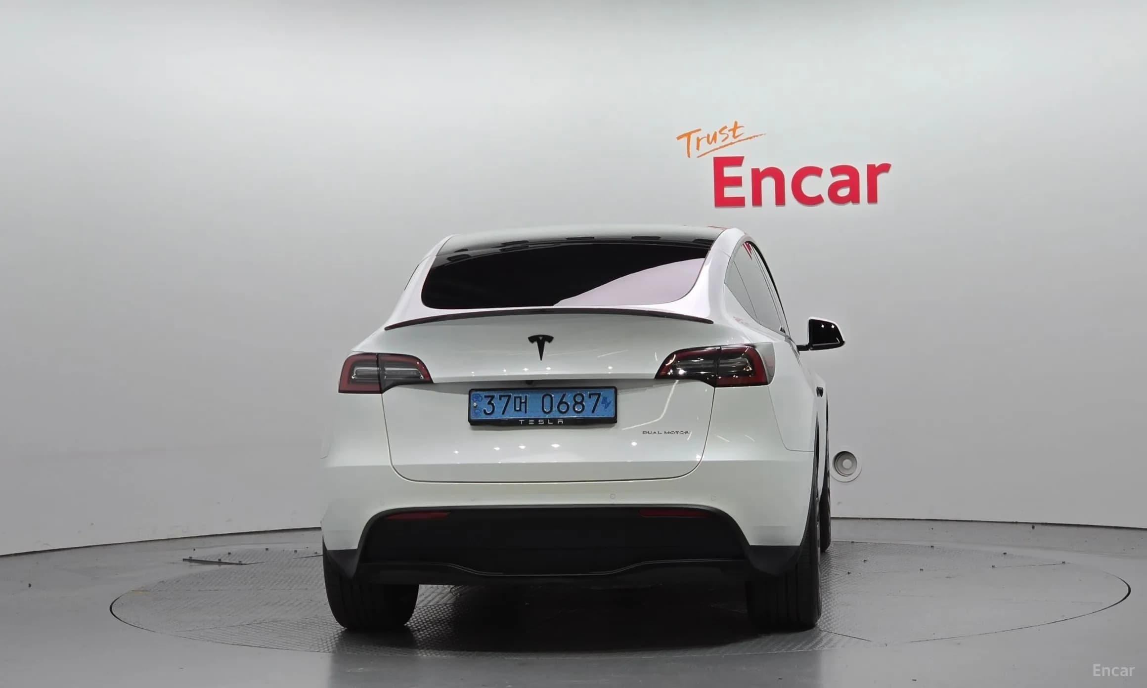 Model Y