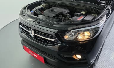 Rexton Sports