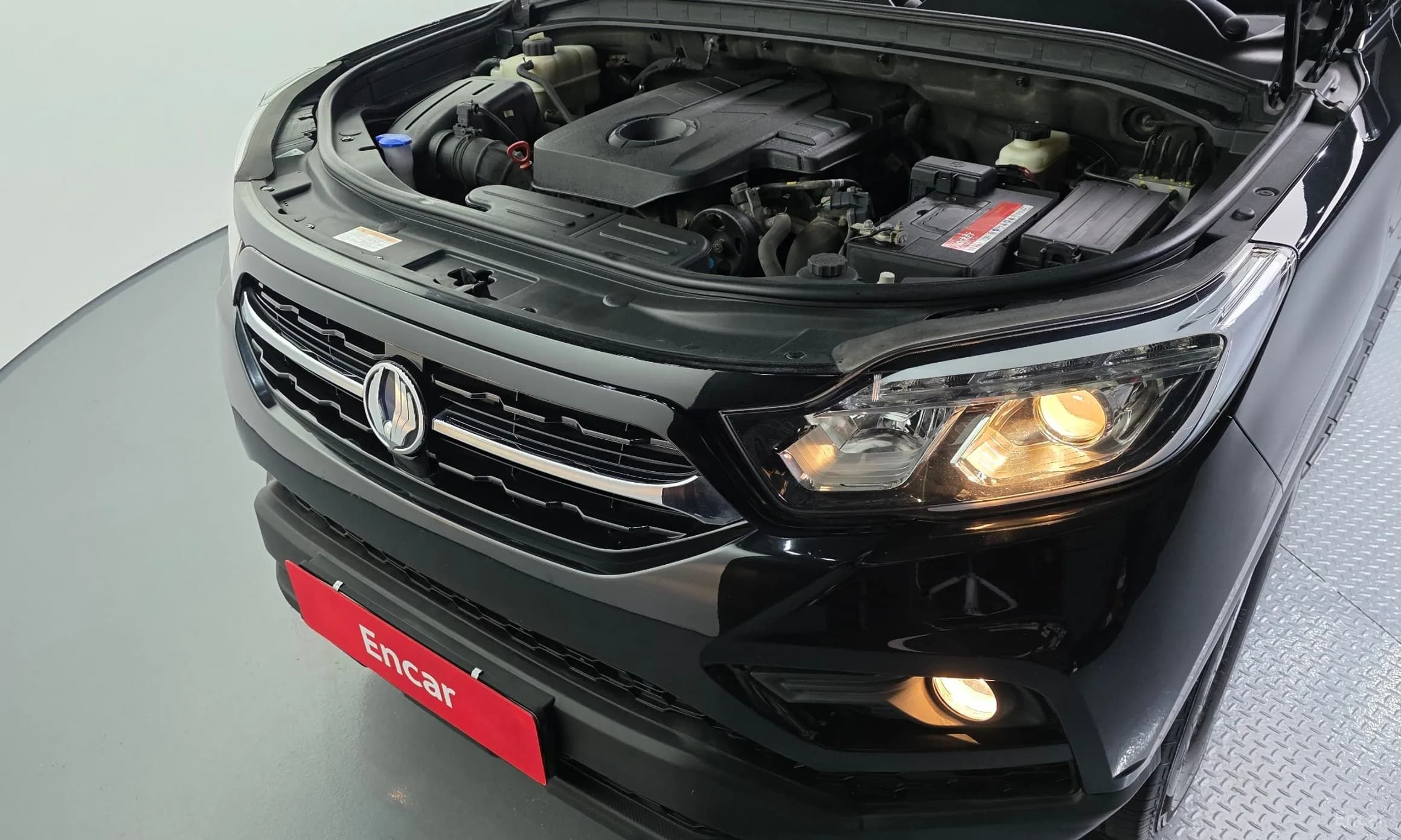 Rexton Sports
