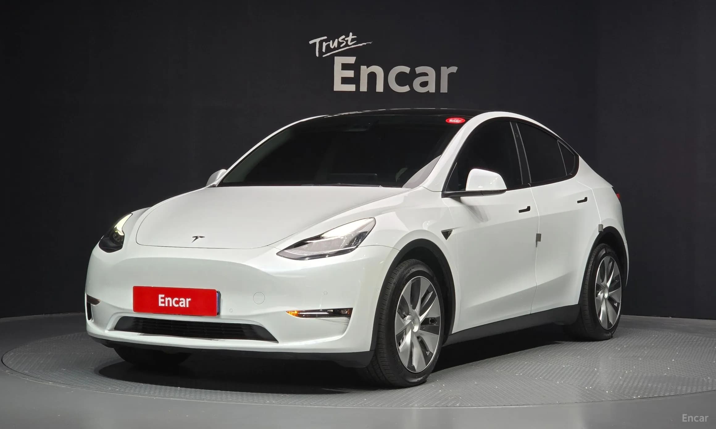 Model Y