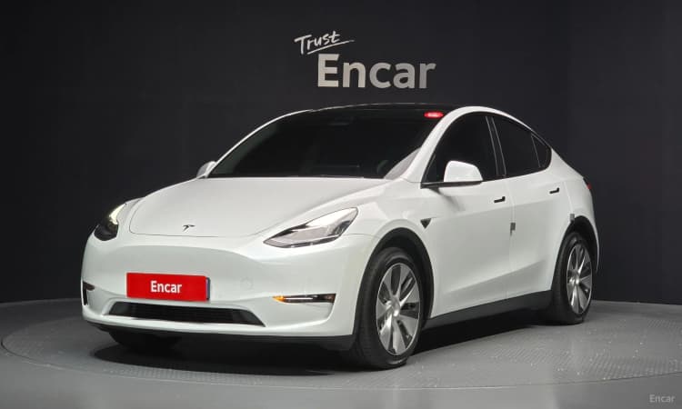 Model Y