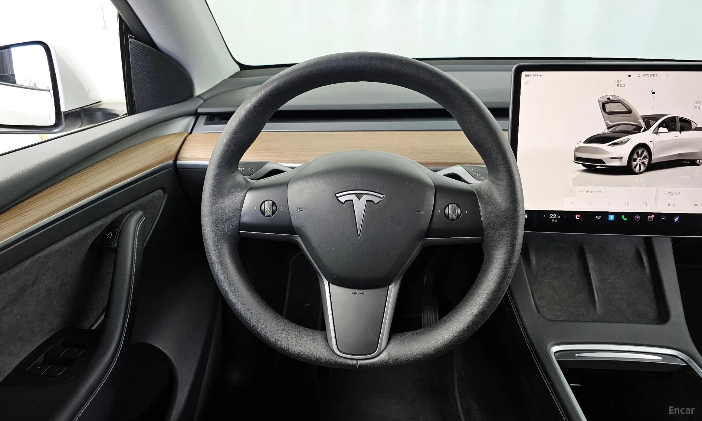 Model Y