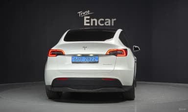 Model Y