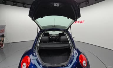 New Beetle