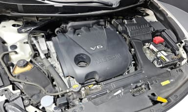 Maxima (A36)
