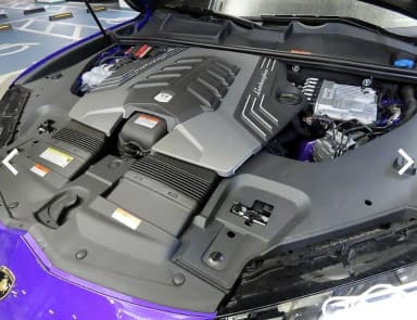 Urus