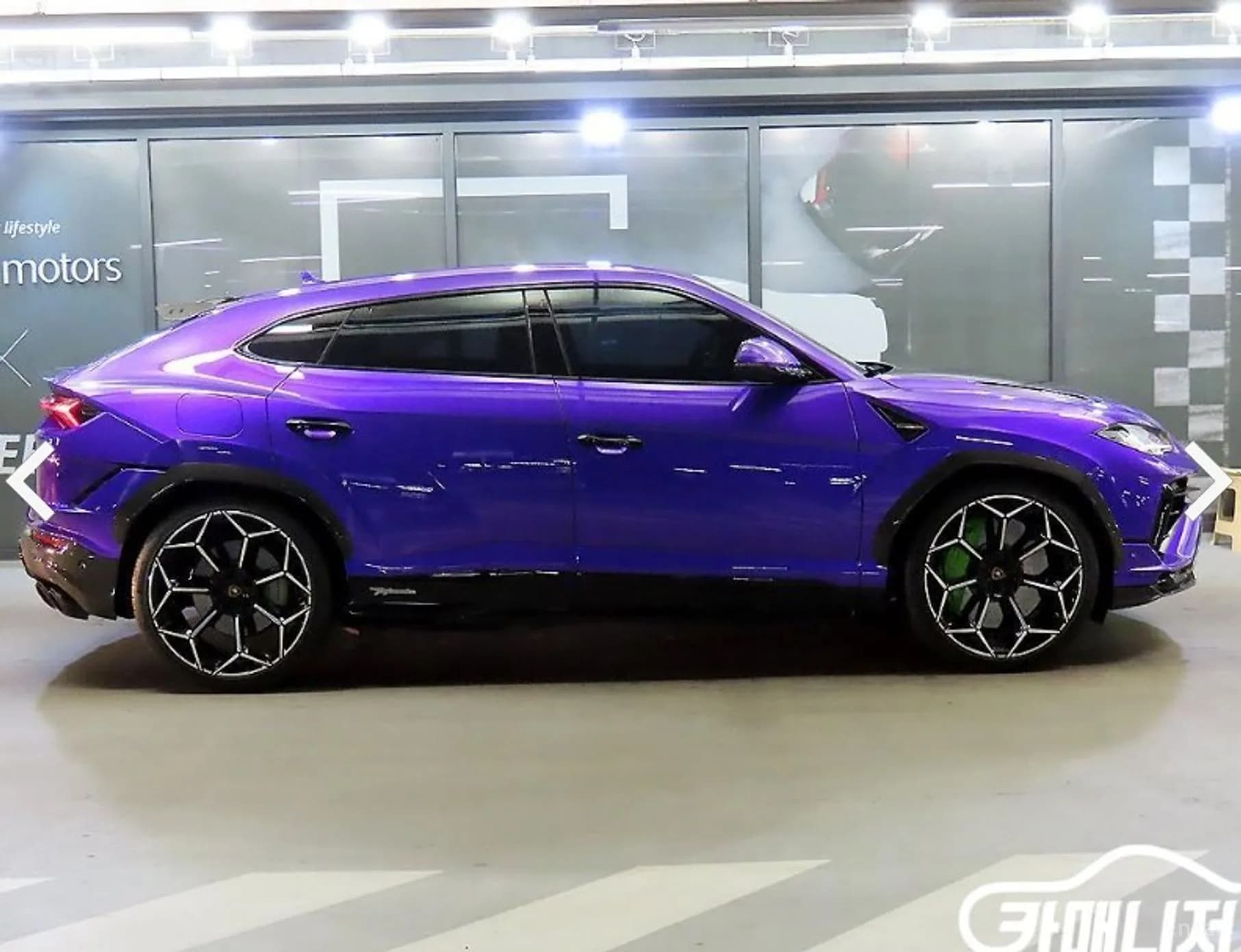 Urus