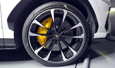 Urus