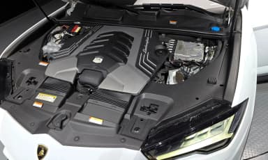 Urus