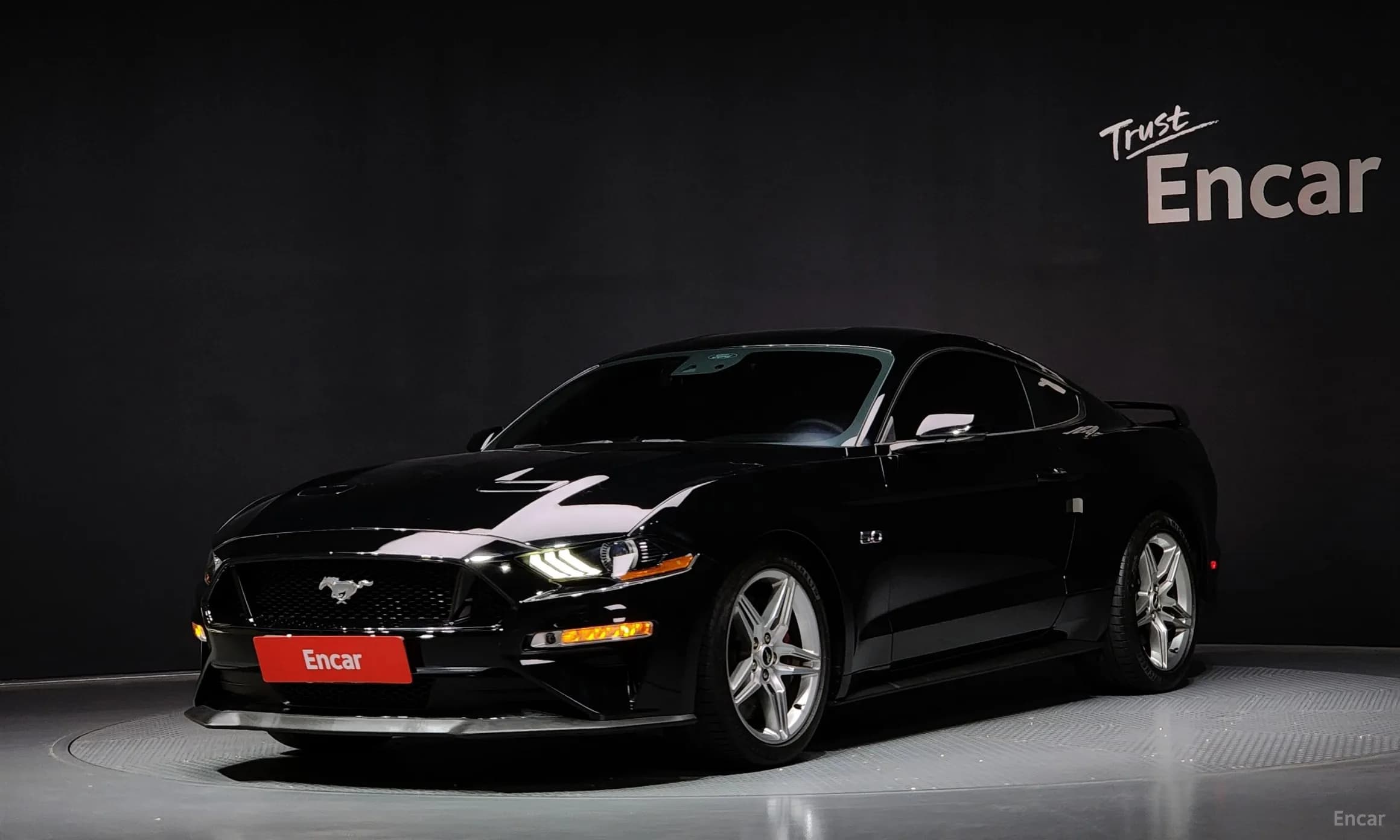 Mustang
