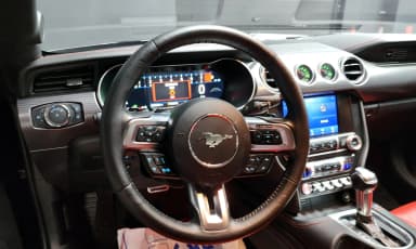 Mustang