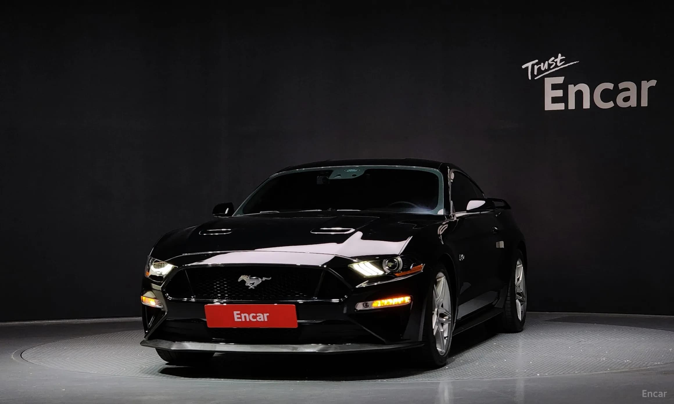 Mustang