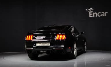 Mustang