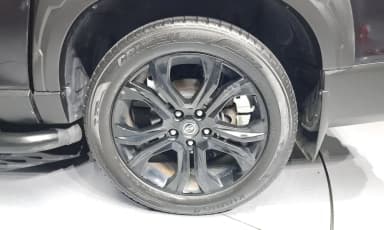 Rexton Sports