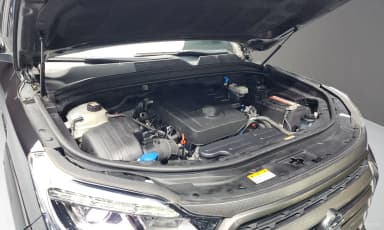 Rexton Sports