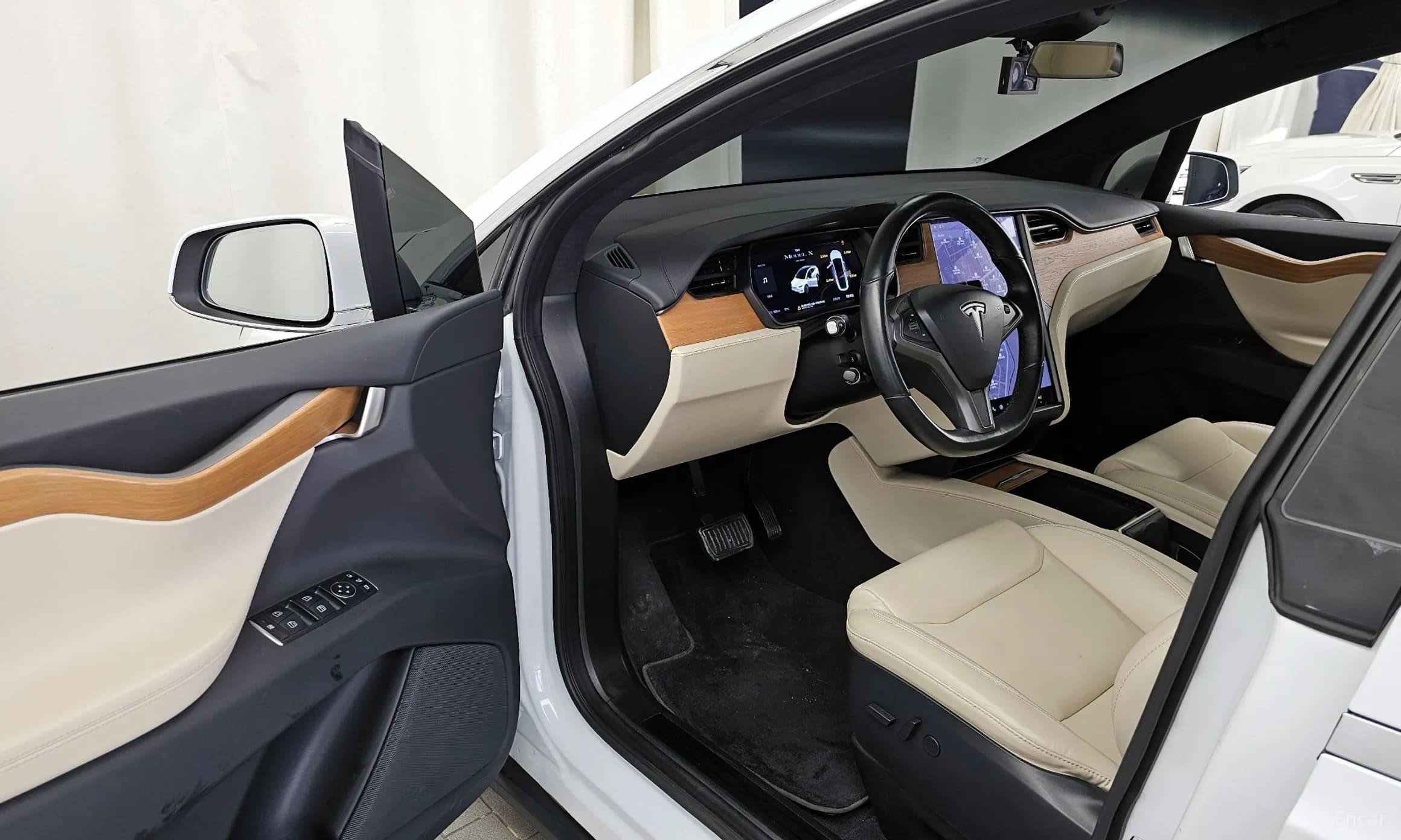Model X