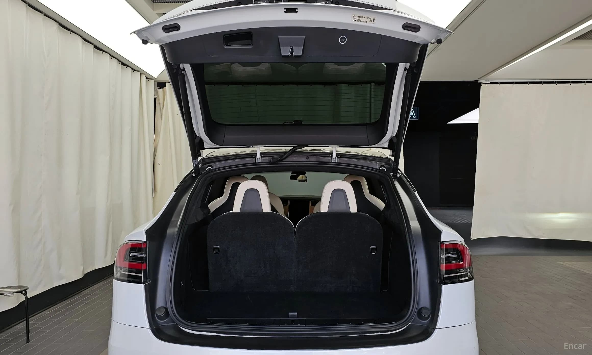 Model X