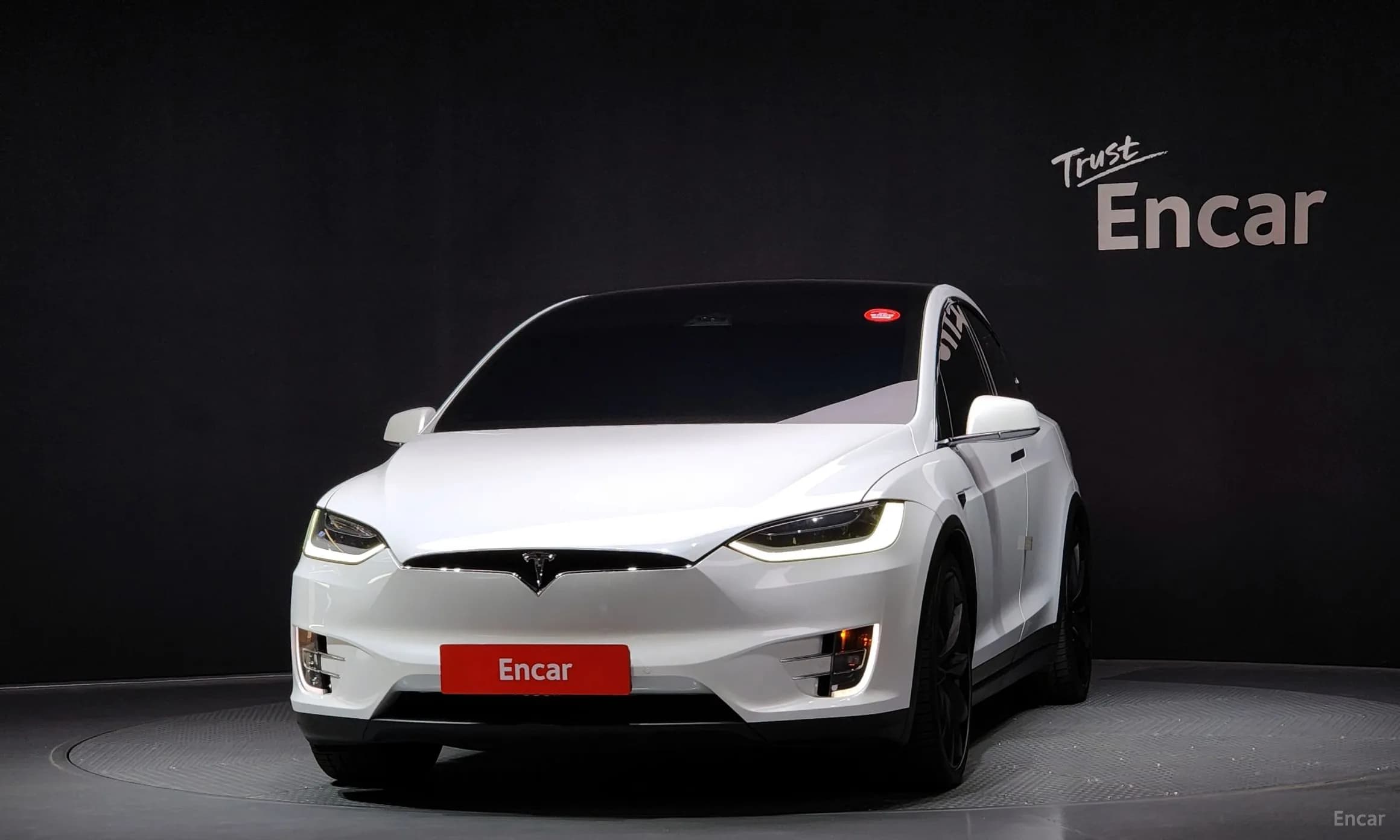 Model X