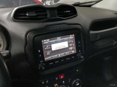 Renegade