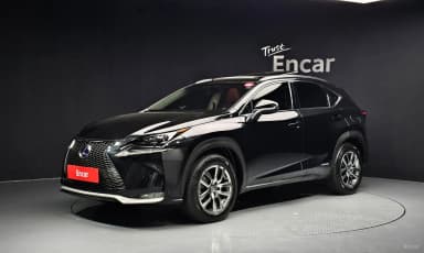 NX300h