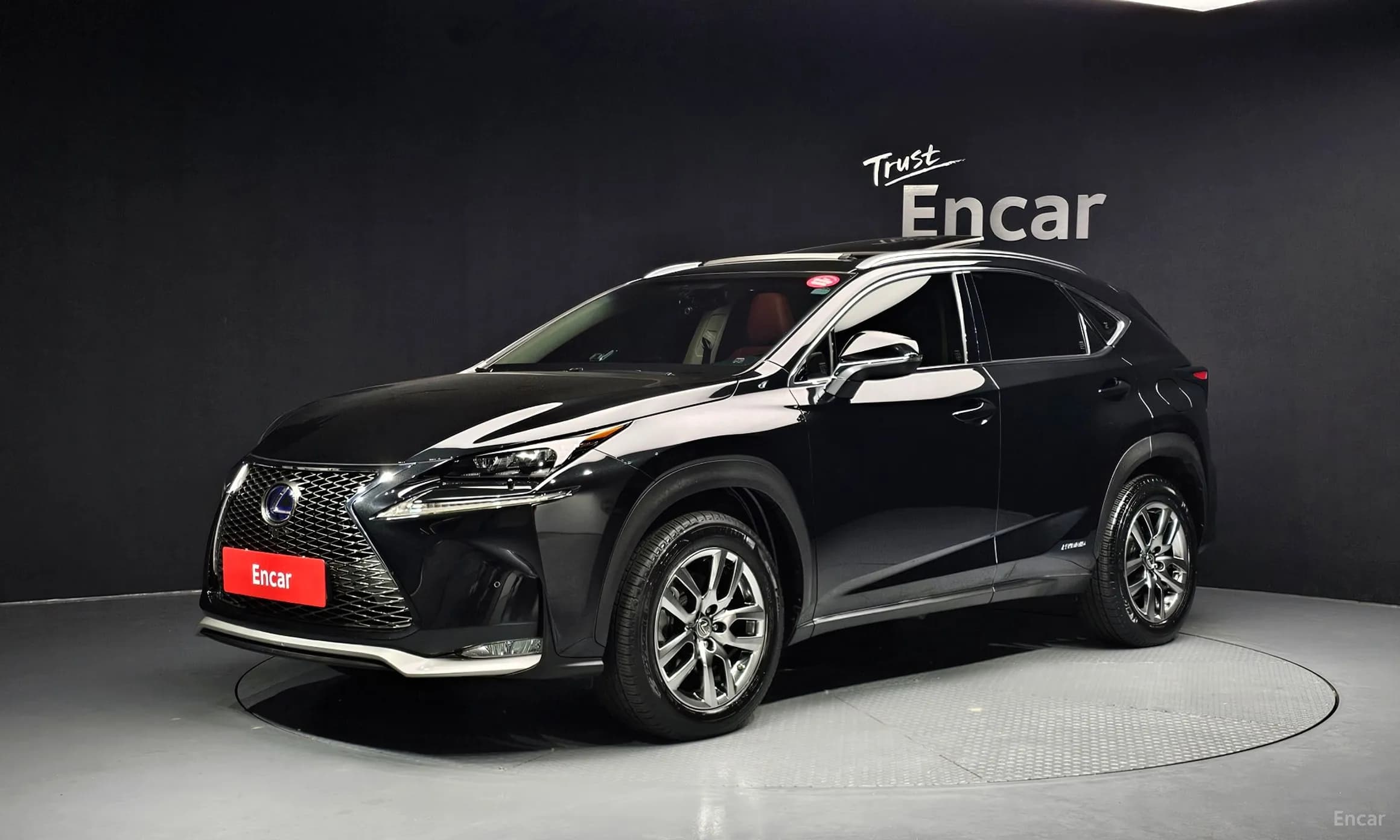NX300h