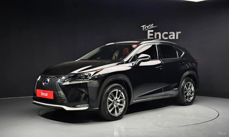 NX300h