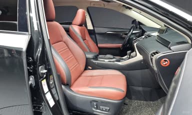 NX300h