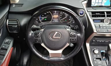 NX300h