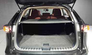 NX300h