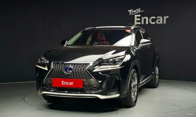 NX300h