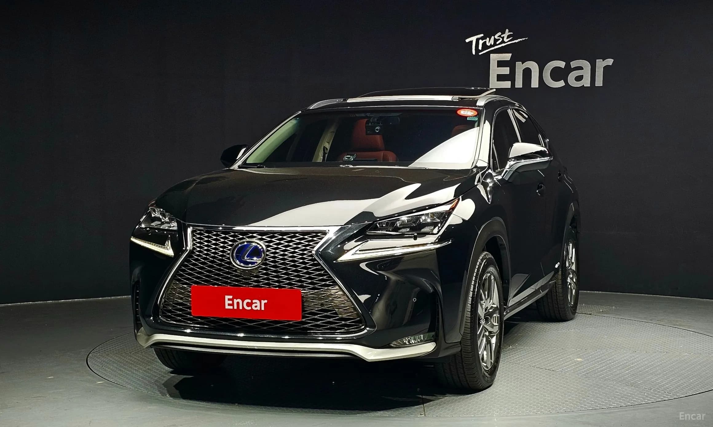 NX300h