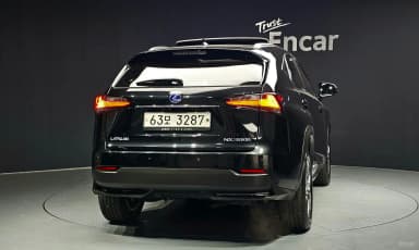 NX300h