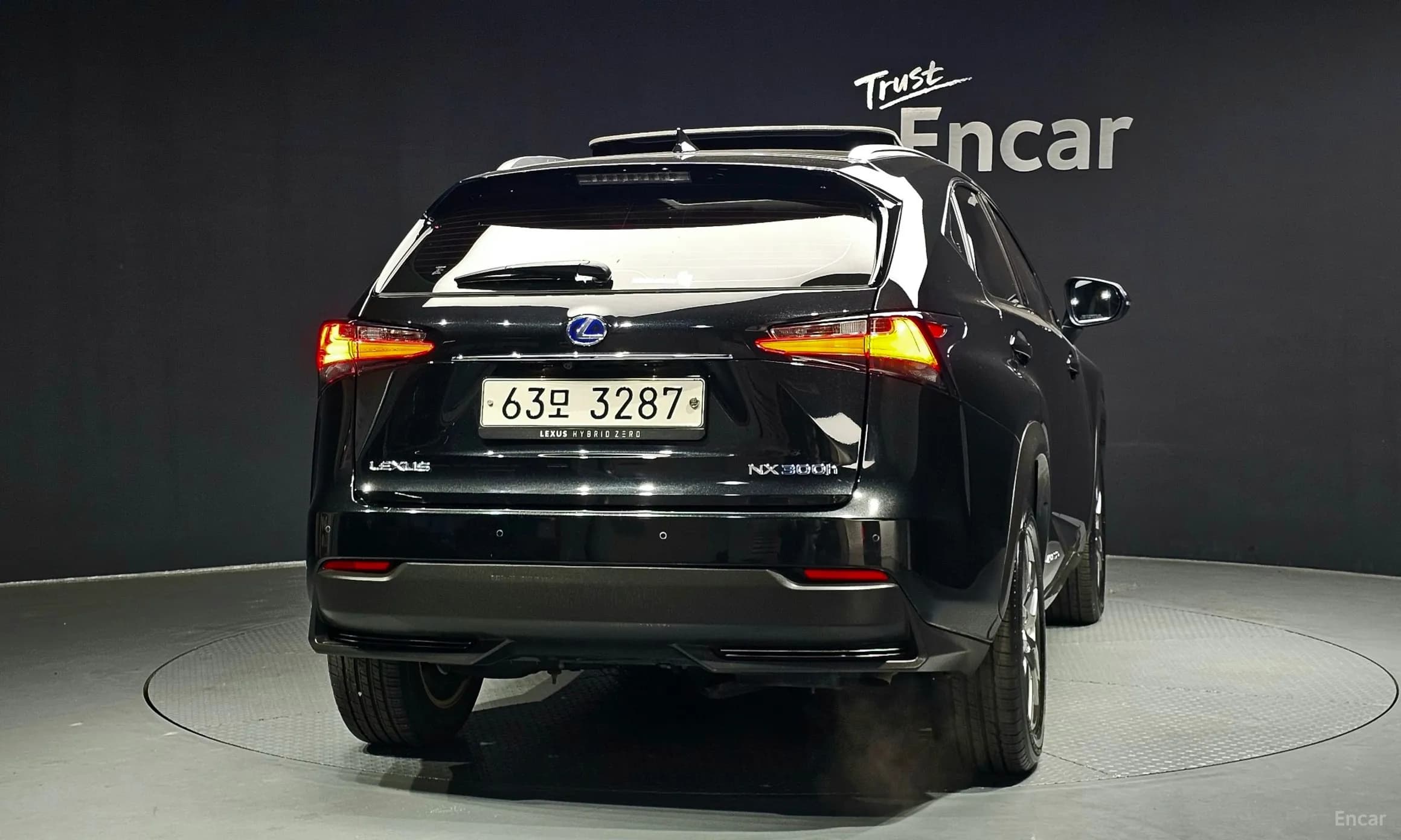NX300h